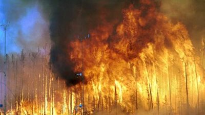 إخلاء مناطق ريفية في ولاية أسترالية بسبب حرائق الغابات