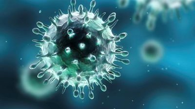 أستاذ مناعة يكشف عن أمراض وفيروسات لا علاج لها