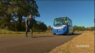 بالفيديو والصور.. 