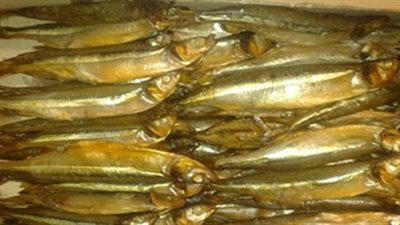 التموين: بدء التعاقد على منتجات شم النسيم من الأسماك والرنجة