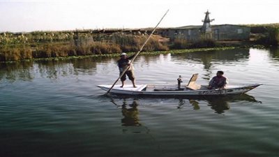 فقد 5400 طن أسماك سنويا بسبب مخططات ردم بحيرة المنزلة