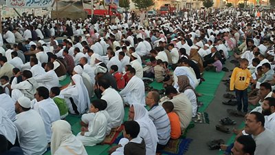 نشرة أخبار «محافظات فيتو»