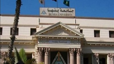 مزرعة تجريبية لزراعة الأرز بالمياه المالحة في جامعة بنها