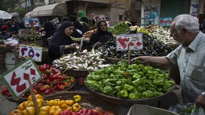 حماية المستهلك: «التسعيرة الجبرية لضبط السوق تتعارض مع التجارة الحرة»