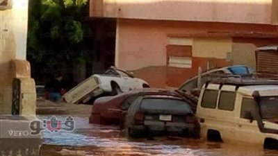 السيول ثروة قومية مهدرة.. صيام: تكفي زراعة مئات آلاف الأفدنة.. خليل: تغني عن المياه المحتجزة خلف سد النهضة.. عزيز: إنشاء مخرات وخزانات أسفل الجبال «ضرورة»