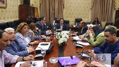 بالصور.. «حقوق الإنسان» بالبرلمان تناقش التعديات على أراضي الدولة