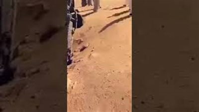 بالفيديو.. نجاة سائق من الموت بعد سقوط سيارته داخل بئر