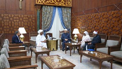 «الطيب»: مستعدون لتدريب أئمة السودان لمواجهة الفكر المنحرف