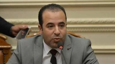 اتصالات البرلمان تناقش آليات إنشاء فيس بوك مصري بعد انتخابات الرئاسة