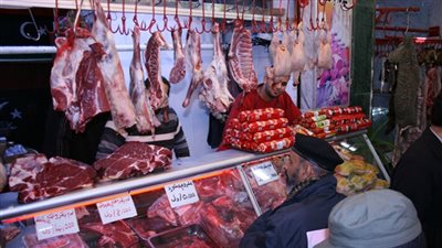 تباين أسعار اللحوم.. والدواجن البلدي تسجل 28 جنيها في الجيزة