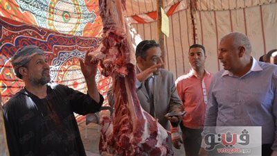 بالصور.. اللحوم بـ95 جنيها للكيلو بـ«أهلا رمضان» في الوادي الجديد