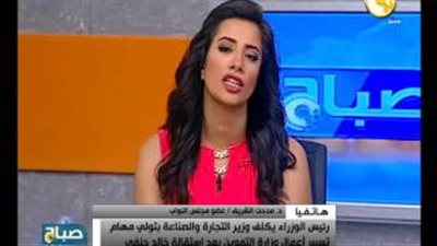 «تقصي الحقائق» بالنواب: حذرنا خالد حنفى كثيرًا لكنه لم يستجب