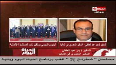 سفير مصر بألمانيا: أبعاد استثمارية وراء زيارة الوفد الألماني للقاهرة