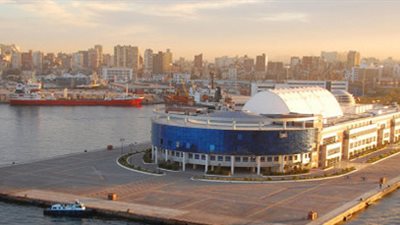 وصول 10576 رأس ماشية إلى ميناء الإسكندرية