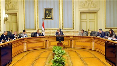 الحكومة تشكل لجنة لتيسير إجراءات تراخيص مزارع الدواجن