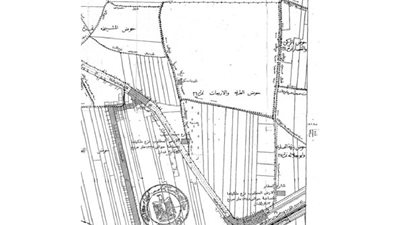 الجريدة الرسمية تنشر 6 قرارات منفعة عامة لرئيس الجمهورية