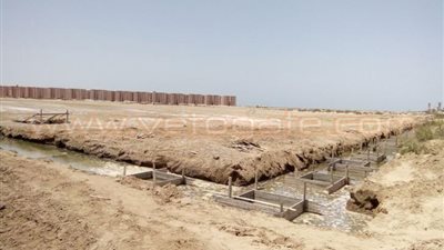 رئيس جامعة المنصورة: فرع جمصة خطوة نحو المستقبل