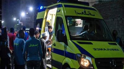 الدم بقى ميه.. نجار مسلح يذبح شقيقه بعد مشادة كلامية في المنوفية