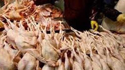 مصادرة 2 طن هياكل دواجن فاسدة داخل ثلاجة بالهرم