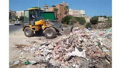 رفع 25 طن مخلفات متنوعة..  وزرع 45 عمود إضاءة بشوارع الإسكندرية