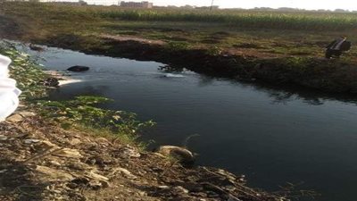 انقلاب سيارة  في ترعة زفتى بالغربية ونجاة سائقها