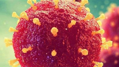 القليوبية تُسجل صفر إصابات بفيروس كورونا اليوم