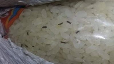 مصادرة 50 طن أرز تموينى به حشرات حية وميتة 