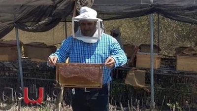 للمرة الثانية.. حصاد  60 كجم عسل من منحل 