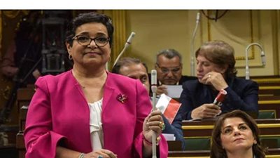 أنيسة حسونة: حملات إزالة  البناء المخالف ليست مفاجأة للشارع