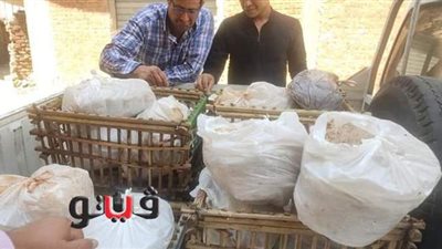 ضبط لحوم فاسدة بمطعم في أبوصوير بالإسماعيلية | صور