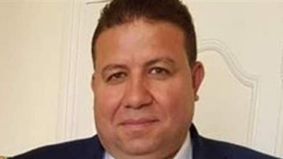 الجالية المصرية في أوروبا:  السيسي بنى مصر من جديد