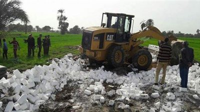 عميد زراعة عين شمس: فقدنا 1.2 مليون فدان من أجود الأراضي