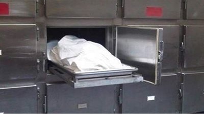 أمن قنا يواصل جهوده لكشف ملابسات ذبح فتاتي جزيرة مطيرة