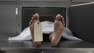 مصدر أمني: صدور تقرير الطب الشرعي خلال أسبوع في واقعة ذبح فتاتي جزيرة مطيرة