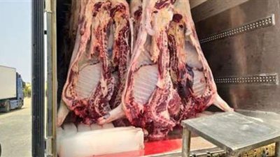 توزيع  19 طن لحوم أضاحي غدًا