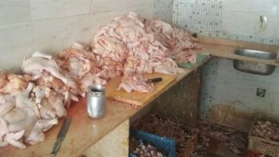 ضبط مجزر دواجن بدون ترخيص   بقليوب