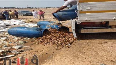 مافيا الأغذية الفاسدة.. اعدام 8 أطنان من 