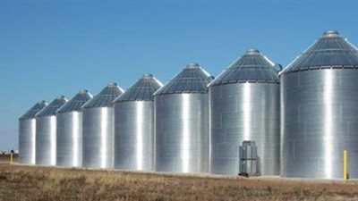 مسئول التخزين بالتموين: مصر استهلكت 9 ملايين و 600 ألف طن قمح | فيديو