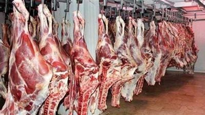 انطلاق سيارات توزيع لحوم الأضاحي إلى 5 محافظات | فيديو وصور