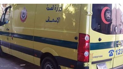 إصابة سيدة ونجلتها في حادث سير بالشيخ زايد