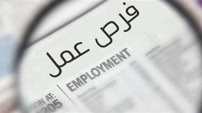 محافظة الجيزة: توفير فرص عمل برواتب تصل إلى ٣٠٠٠ جنيه للشباب