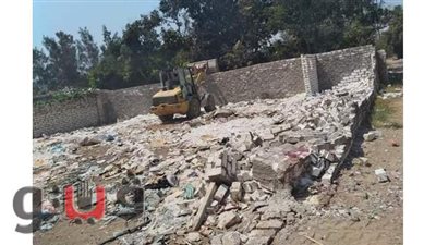 إزالة 41 حالة تعد على الأراضي الزراعية بأبو صوير في الإسماعيلية