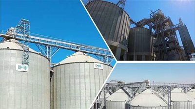 تفاصيل إنشاء مجمع صوامع غلال برج العرب | صور