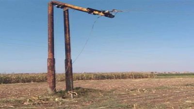 انقطاع الكهرباء عن بئر ارتوازي يهدد ببوار 150 فدانا في كفر شماخ بالغربية