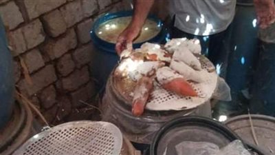 ضبط ٥٨ طن مخللات فاسدة قبل طرحها للاستهلاك بالفيوم