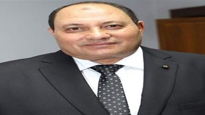 الزراعة: شحنة الدواجن المستوردة لن تدخل السوق المحلي وسيتم تصنيعها وإعادة تصديرها