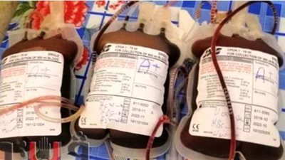 ضبط كميات من البلازما غير صالحة للاستخدام بالسوق السوداء في طنطا