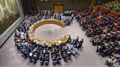 واشنطن تستخدم الفيتو ضد مشرع قرار أممي لإعادة تأهيل المقاتلين الأجانب