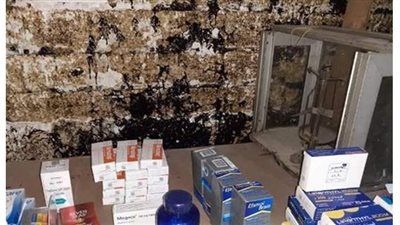 ضبط أدوية مهربة ومحظور بيعها بالسوق الدوائي بالغربية | صور