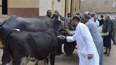 المنوفية الأولى على الجمهورية في التحصين ضد الحمى القلاعية والوادي المتصدع